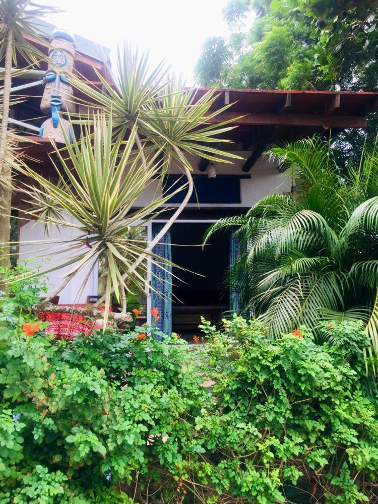 Kokrobite Garden المظهر الخارجي الصورة